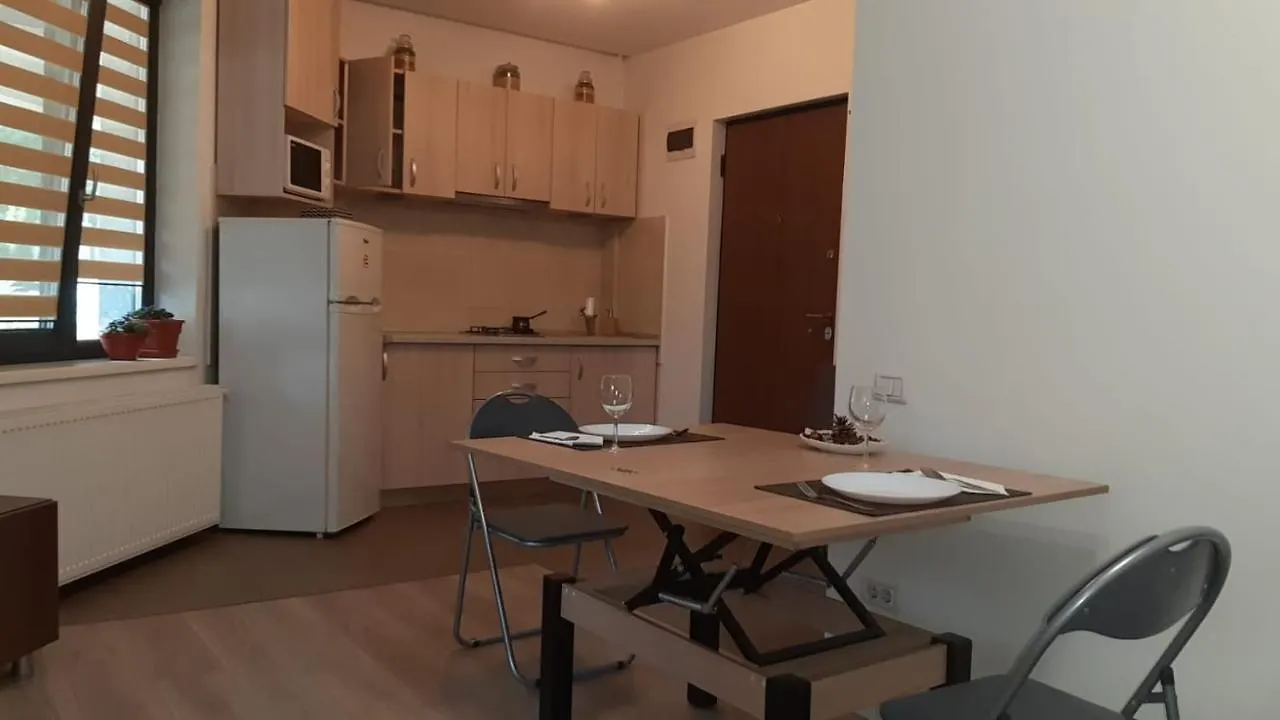 דירות בוקרשט Casa Sara